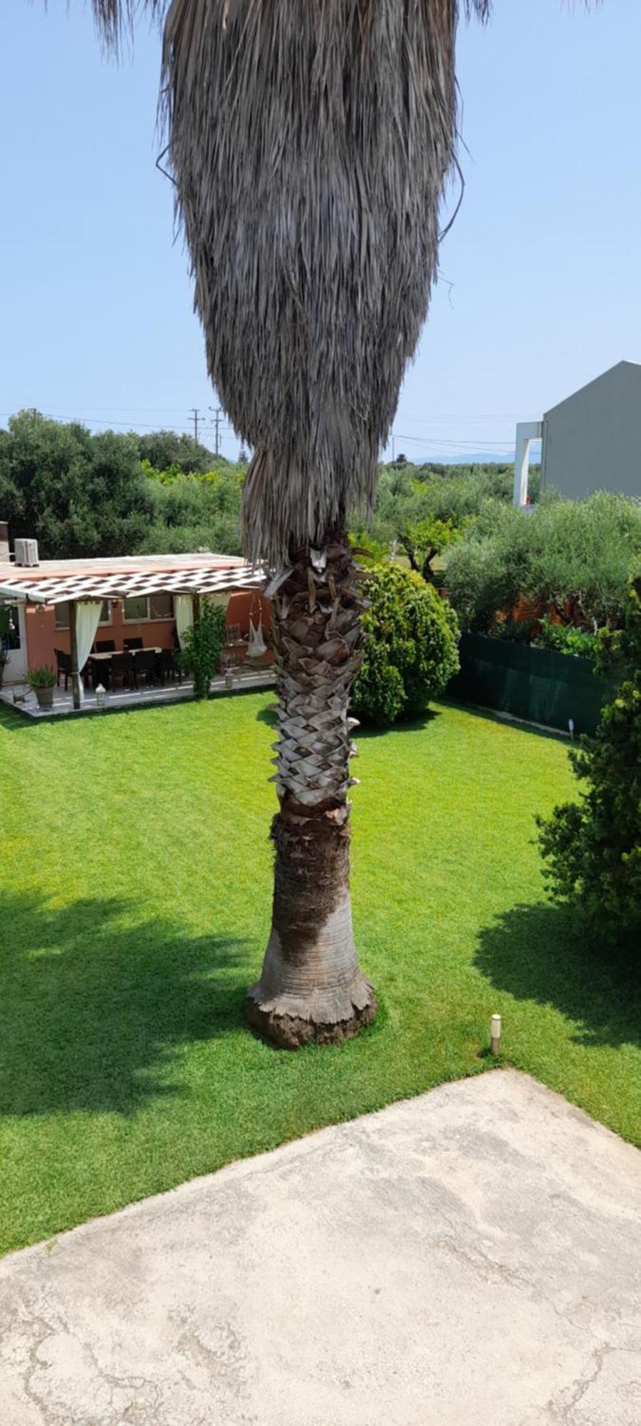Villa Oneiropagida Preveza Exterior photo